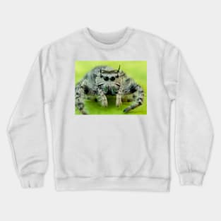 Jumping spider Crewneck Sweatshirt